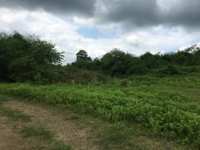 Venta 250.000 m² (25 Has) Chongón - Daular, Vía a La Costa Km. 27, Guayas — imagen 5