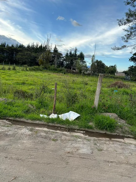 Muy Buen Terreno en La Zona de La Buena Esperanza. — imagen 5