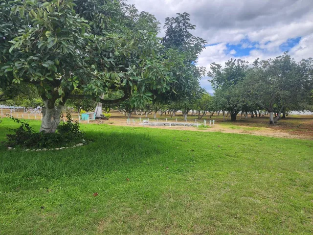 Bonito Terreno de Venta 1 Hectarea en Tumbaco Aurelio Davila — imagen 4