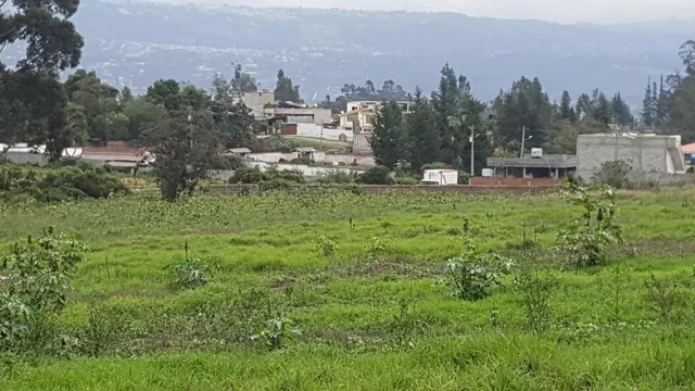 Hermosos Terrenos en Venta en Puembo Para Constructor o Negocio — imagen 5