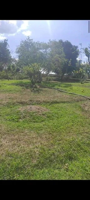 Hermosos Terrenos en Venta en Puembo Para Constructor o Negocio — imagen 3
