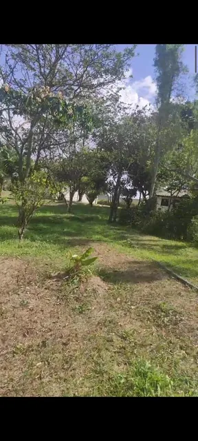 Hermosos Terrenos en Venta en Puembo Para Constructor o Negocio — imagen 2