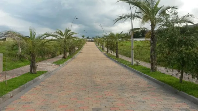Exclusivo Terreno de Venta Ubicado Dentro de Urbanización Consolidada en La Cerámica — imagen 4
