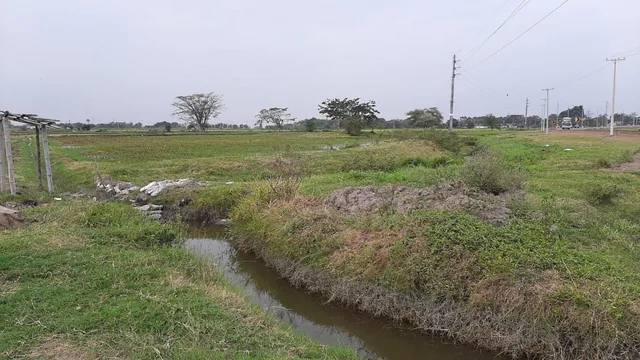 Venta de Terreno Industrial, Comercial o Agroindustrial Via a Yaguachi 21 Has, Guayas — imagen 4