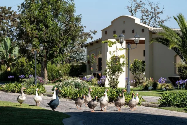 Espectacular Terreno de Venta en Checa, Dentro de La Urbanización Pakakuna — imagen 5