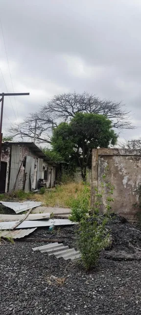 Vendo Terreno Industrial Inmaconsa 14.700 m Cuadrados Via a Daule,, Guayas — imagen 5
