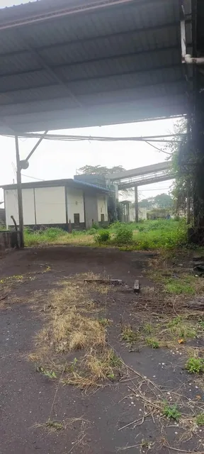 Vendo Terreno Industrial Inmaconsa 14.700 m Cuadrados Via a Daule,, Guayas — imagen 4