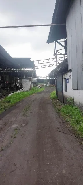 Vendo Terreno Industrial Inmaconsa 14.700 m Cuadrados Via a Daule,, Guayas — imagen 3