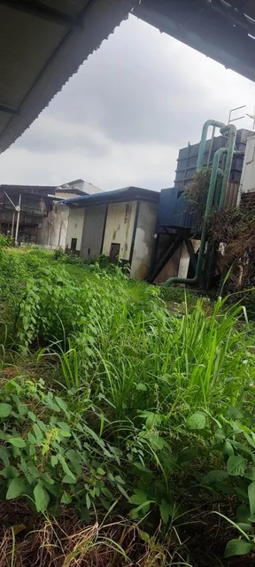 Vendo Terreno Industrial Inmaconsa 14.700 m Cuadrados Via a Daule,, Guayas — imagen 2