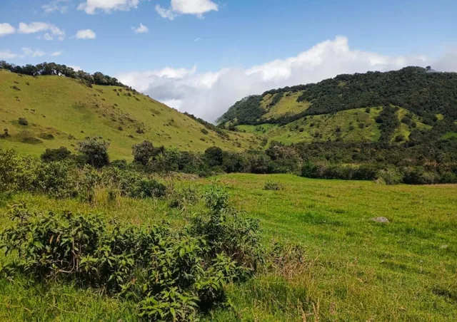 Lotes Urbanizados en Venta - Quito — imagen 5