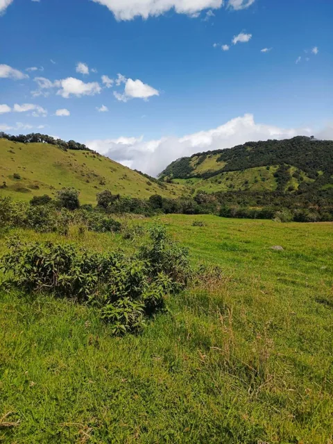 Lotes Urbanizados en Venta - Quito — imagen 4