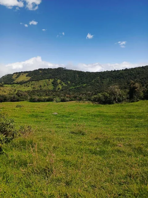 Lotes Urbanizados en Venta - Quito — imagen 2