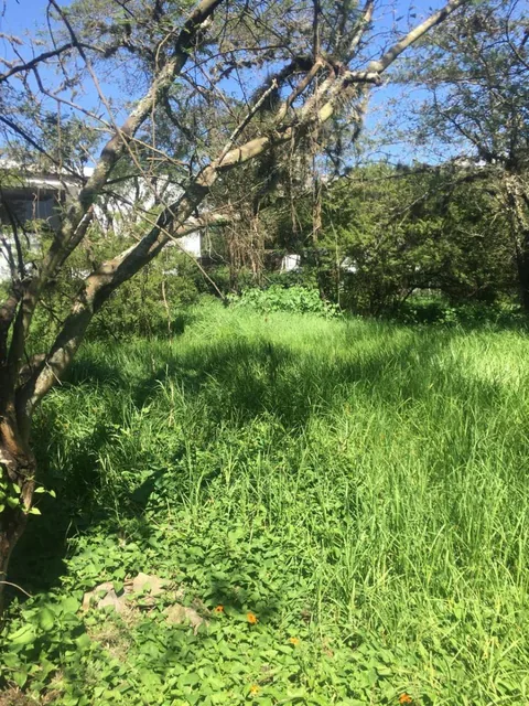 Vendo Bonito Terreno de 1000 m en Prados de La Viña Cumbaya — imagen 5