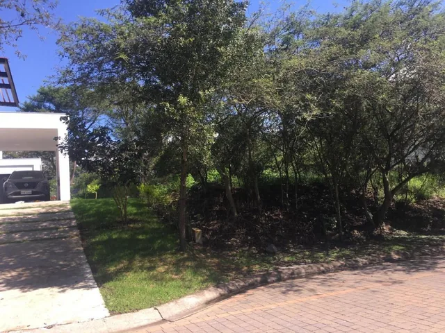 Vendo Bonito Terreno de 1000 m en Prados de La Viña Cumbaya — imagen 3
