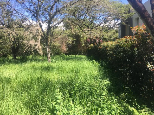 Vendo Bonito Terreno de 1000 m en Prados de La Viña Cumbaya — imagen 2