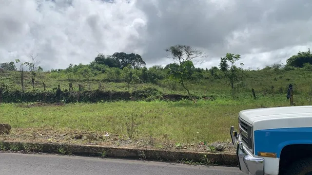 Vendo Terreno de 25.000 m en Pedro Vicente Maladonado — imagen 5