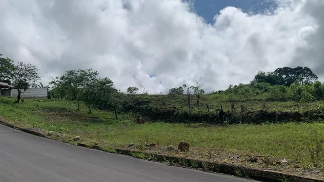 Vendo Terreno de 25.000 m en Pedro Vicente Maladonado — imagen 3