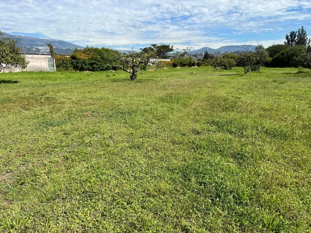 Puembo, Terreno de Venta Dentro de Urbanización El Chaupi — imagen 4