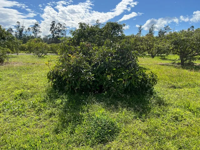 Puembo, Terreno de Venta Dentro de Urbanización El Chaupi — imagen 2