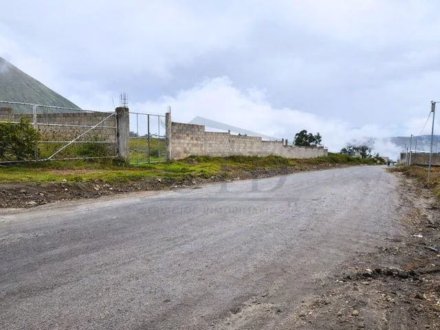 Terreno de 307 m² en Alquiler en San Antonio — imagen 5