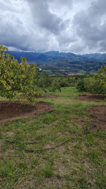 De Venta Finca de 7 Hectáreas en Chaltura, Imbabura — imagen 2