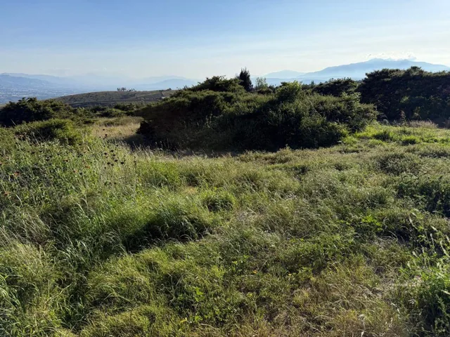 En Venta Terreno 5.200 m², Parroquia Tocachi — imagen 5