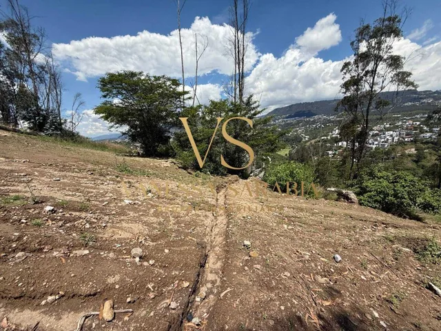 Vendo Terreno Dentro de Urb. Pillagua en Cumbaya, Quito - Ecuador — imagen 4