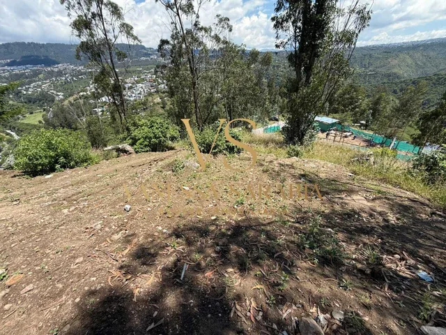 Vendo Terreno Dentro de Urb. Pillagua en Cumbaya, Quito - Ecuador — imagen 2