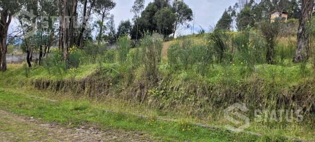 Venta de Terreno Sector La Macarena — imagen 3