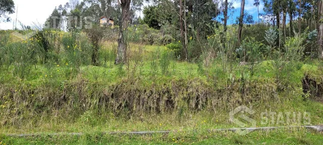 Venta de Terreno Sector La Macarena — imagen 2