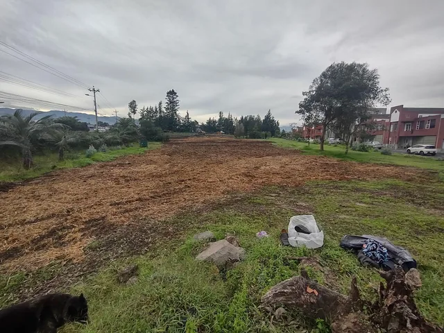 Rento 3 Lotes Comerciales de 2.500 m² c/u Sangolqui, Sector Colibri, con Frente a Av Gral Rumiñahui — imagen 4