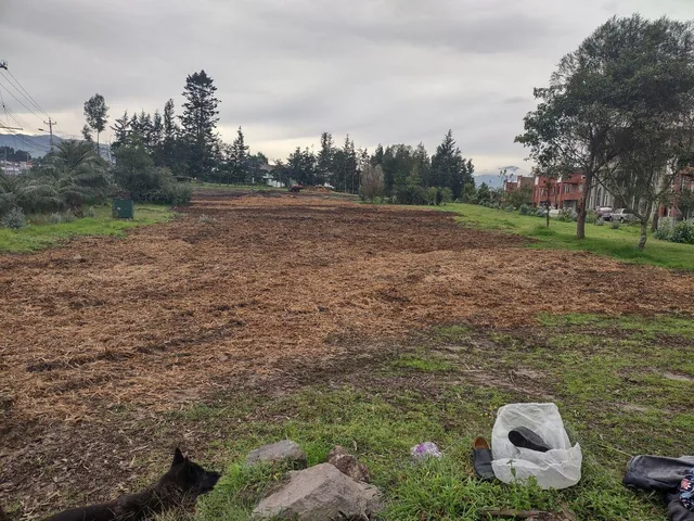 Rento 3 Lotes Comerciales de 2.500 m² c/u Sangolqui, Sector Colibri, con Frente a Av Gral Rumiñahui — imagen 2
