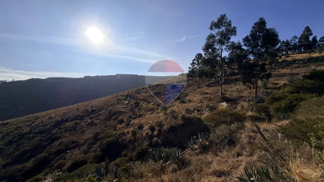 Terreno Industrial I3 de Alto Impacto en Venta - 17,6 Has Panamericana Norte - Sector Otoncito — imagen 5