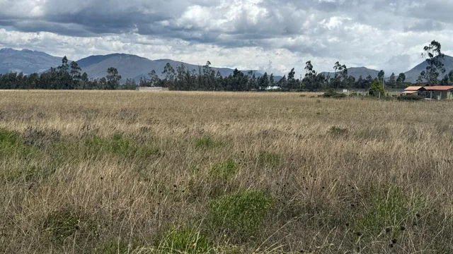 Terreno en Venta 56.000 m², en Malchinguí — imagen 5