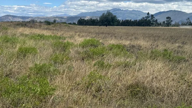 Terreno en Venta 56.000 m², en Malchinguí — imagen 3