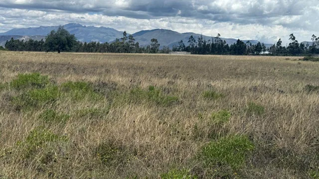 Terreno en Venta 56.000 m², en Malchinguí — imagen 2