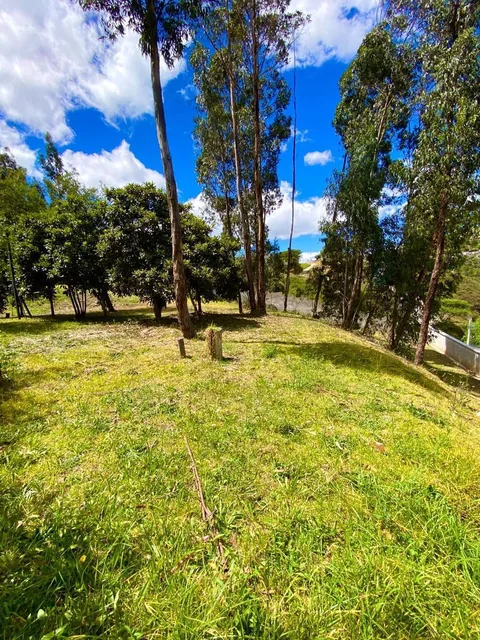 Terreno Bifamiliar en Tumbaco — imagen 4