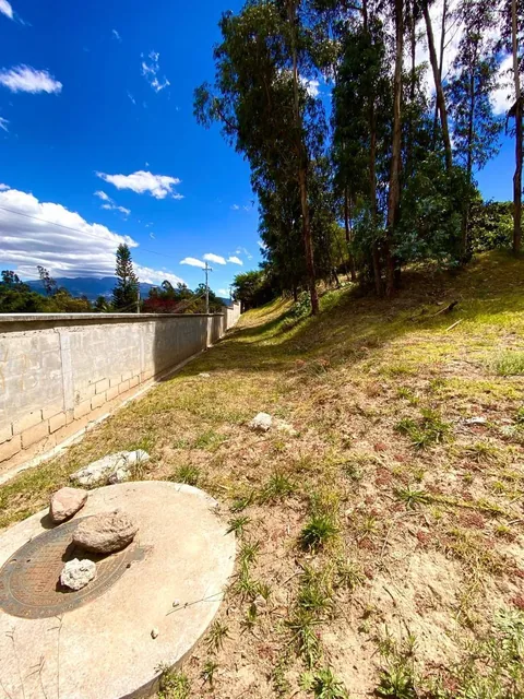 Terreno Bifamiliar en Tumbaco — imagen 3