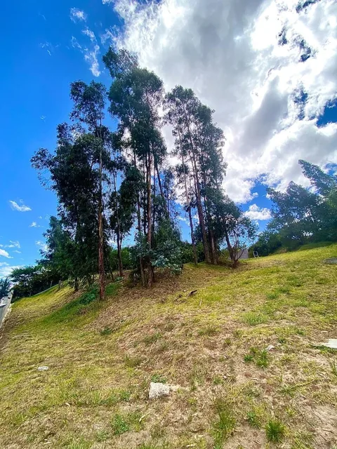 Terreno Bifamiliar en Tumbaco — imagen 2