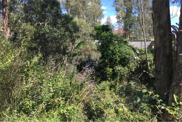 Vendo Hermos0 Terreno 2.837,50 m² Conocoto — imagen 4