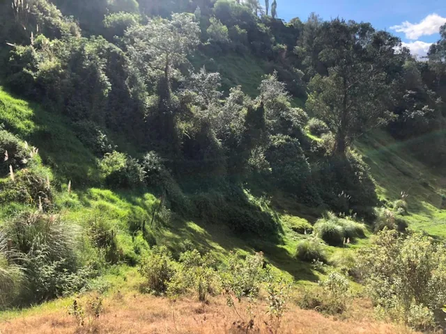 Terreno en Venta, Autopista General Rumiñahui — imagen 5