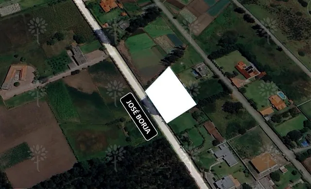 Terreno Independiente de Renta en Puembo de 2.121 m² — imagen 4