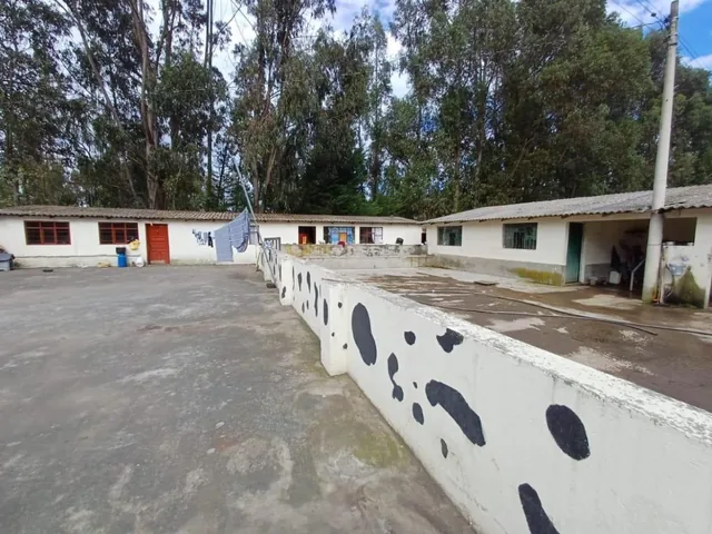 Terreno en Venta Sector Cayambe — imagen 4
