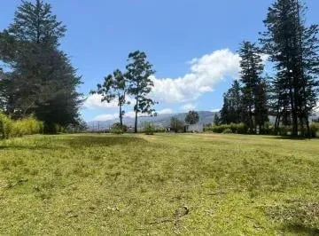 Terreno Venta Puembo Calle Jose Borja / Cerca a Colegios*msb* — imagen 5