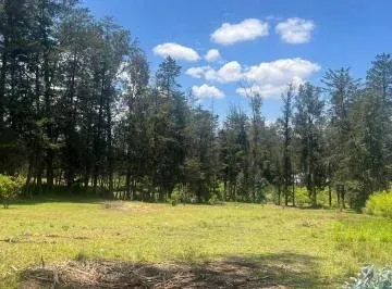 Terreno Venta Puembo Calle Jose Borja / Cerca a Colegios*msb* — imagen 3