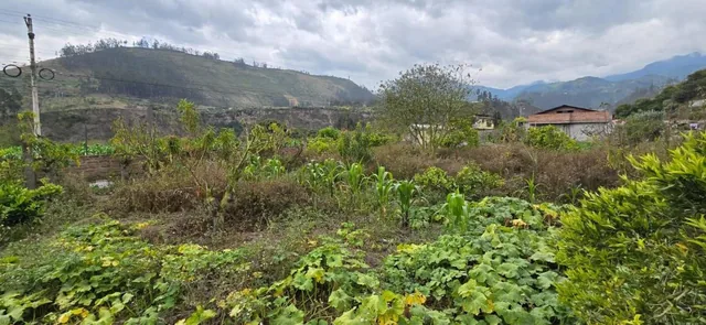 Terreno en Patate, Tungurahua — imagen 4