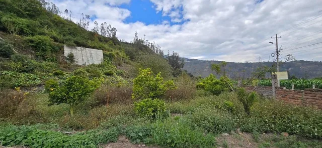 Terreno en Patate, Tungurahua — imagen 2