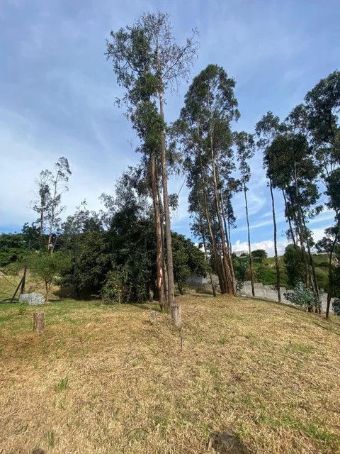 Hermoso Terreno Dentro de Urbanización en Tumbaco — imagen 2