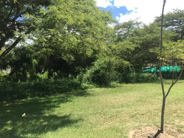 Venta Terreno Puembo Urbanizacion Arrayanes — imagen 3