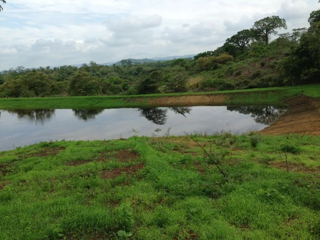 En Venta Terrenos en Vía a La Costa Desde $30 m² - R. Sánchez, Guayas — imagen 5